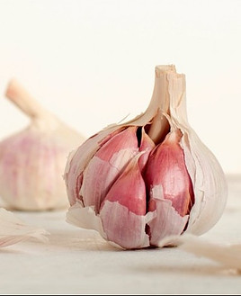 garlic natural antibiotic for eczema